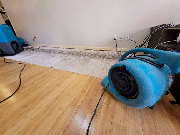 Professional Water Damage Repair technician working in DeWitt, IA